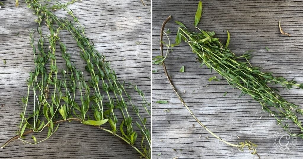 Two bundles of green willow branches woven on weathered wooden boards, shown from different angles—perfect inspiration for natural crafts or adding rustic charm to your hyssop planting and care projects.