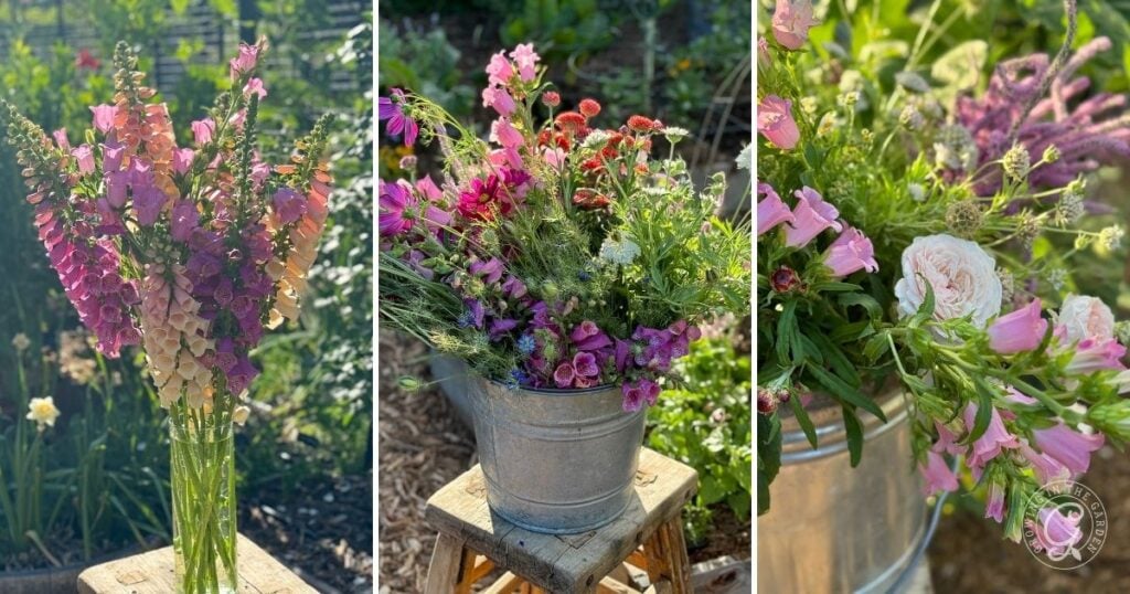 Three floral arrangements with pink and purple flowers, including Campanula Canterbury Bells, are displayed outdoors in metal containers and on a wooden stool.