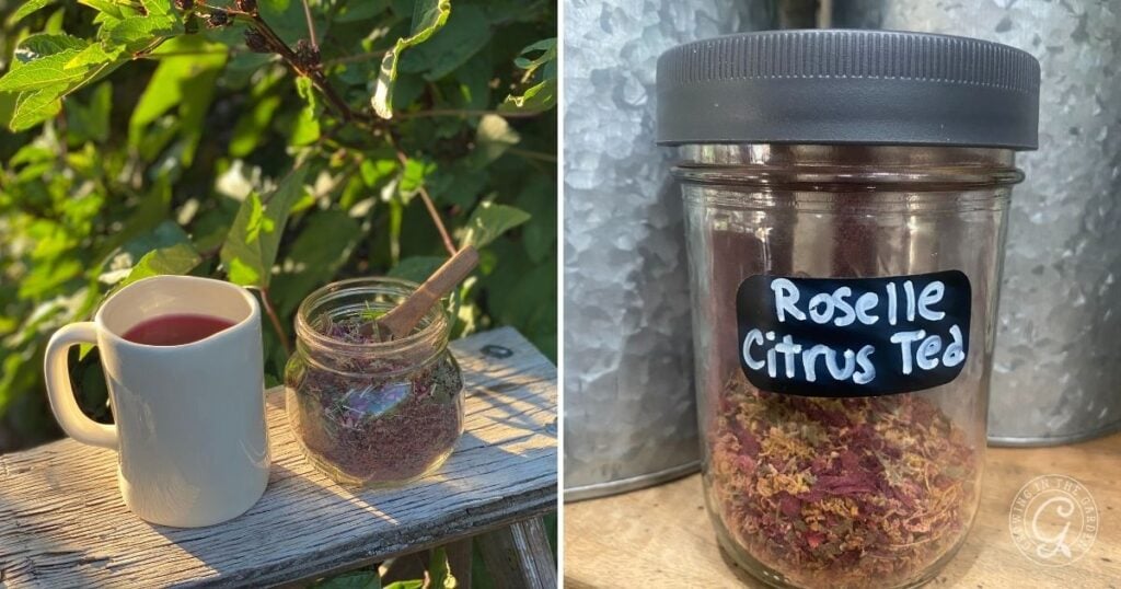 A mug of tea and a jar of dried herbs sit outside; indoors, a labeled jar of Roselle Citrus Tea hints at ways to use stevia for a naturally sweetened brew.