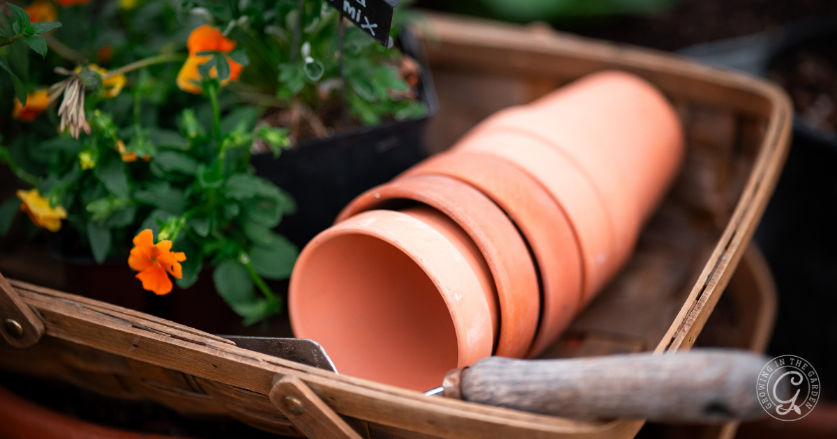 A stack of terracotta pots and a trowel in a basket next to blooming orange flowers celebrates gardening success.