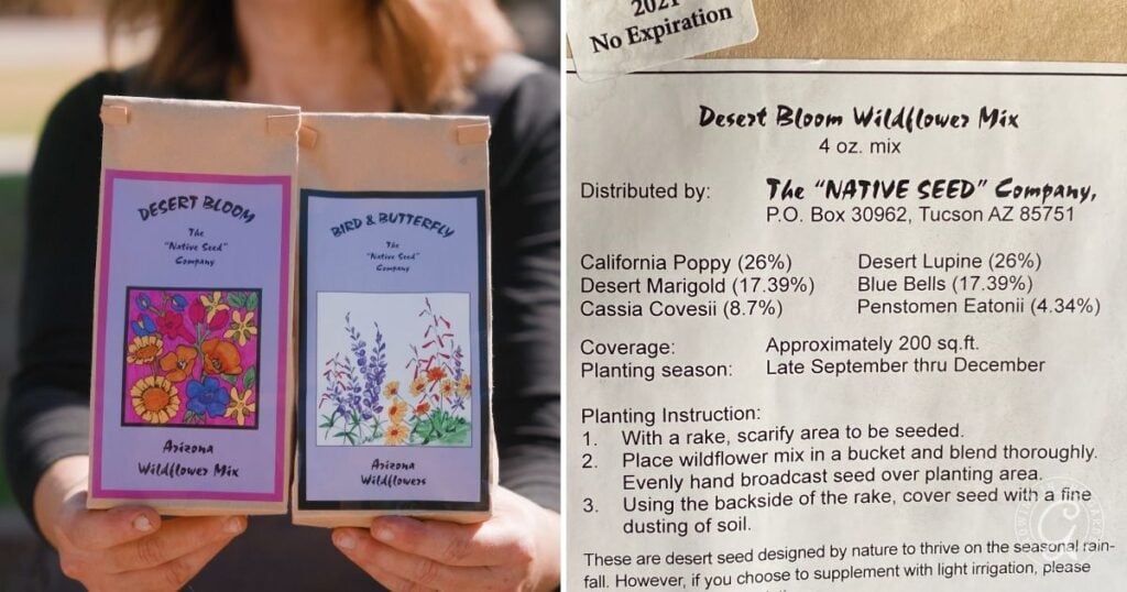Two seed packets and planting instructions for Arizona wildflower mixes are shown side by side, featuring helpful Arroyo Lupine Growing Tips and guidance on how to grow arroyo lupine successfully in your garden.