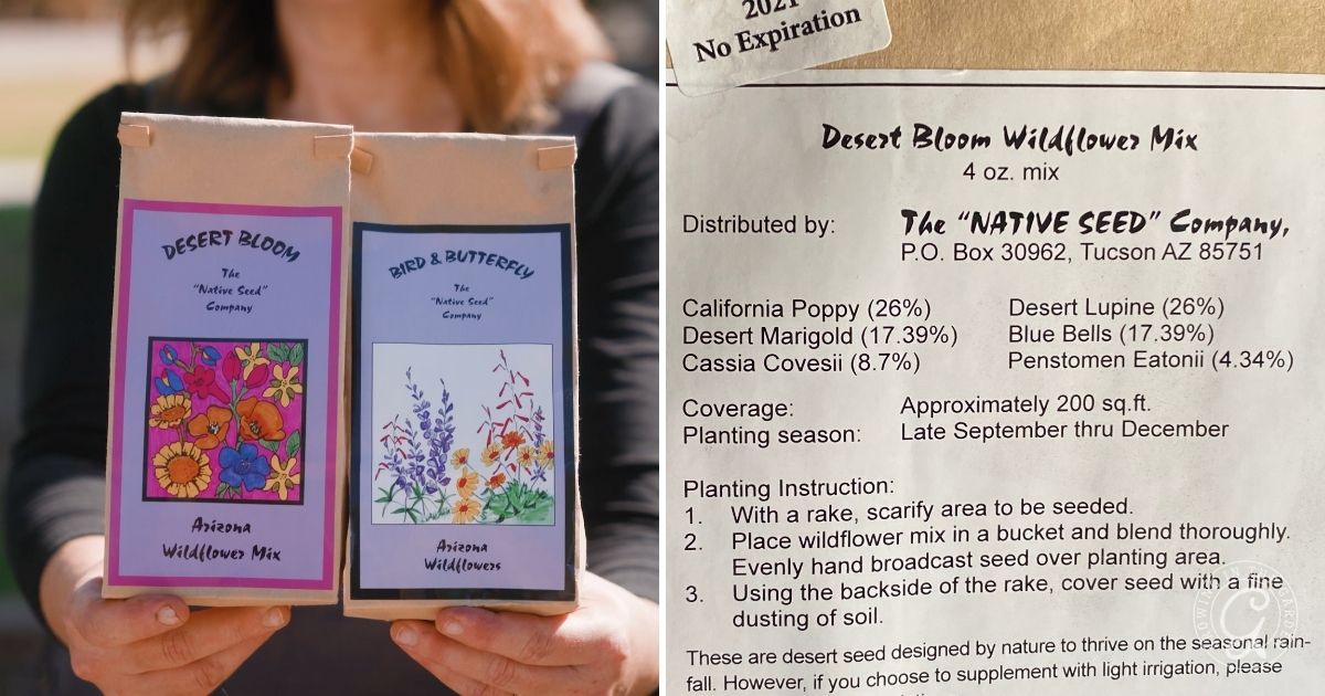 Two seed packets and planting instructions for Arizona wildflower mixes are shown side by side, featuring helpful Arroyo Lupine Growing Tips and guidance on how to grow arroyo lupine successfully in your garden.