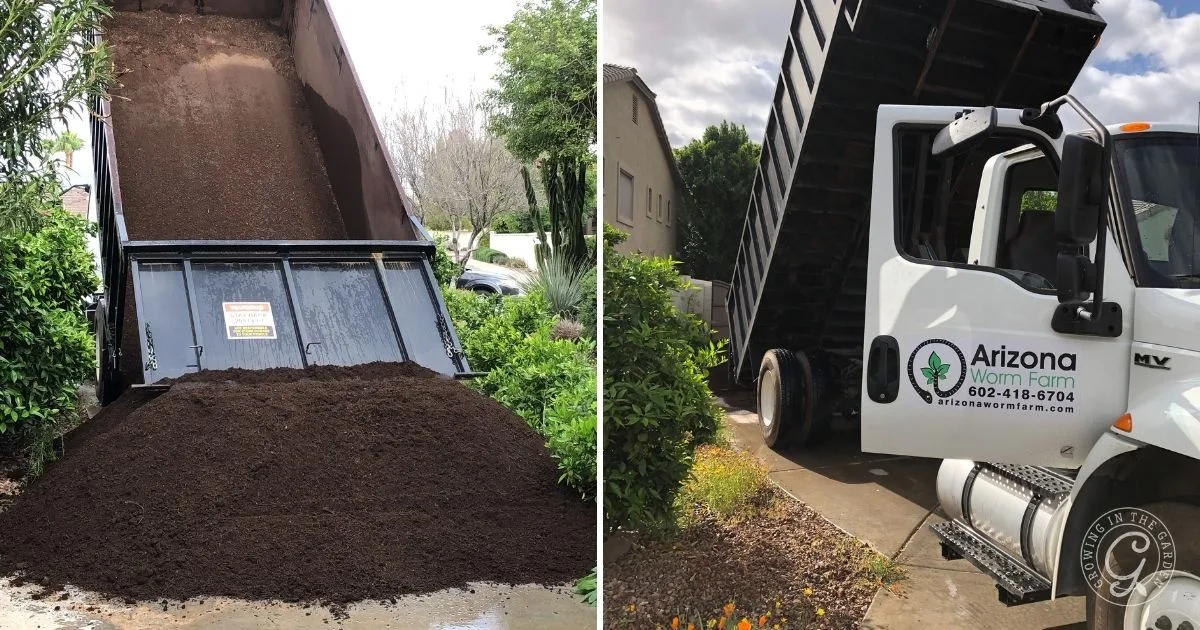 A dump truck delivers a large pile of soil on a driveway near shrubs and trees&mdash;perfect for anyone learning how to fill raised garden beds.