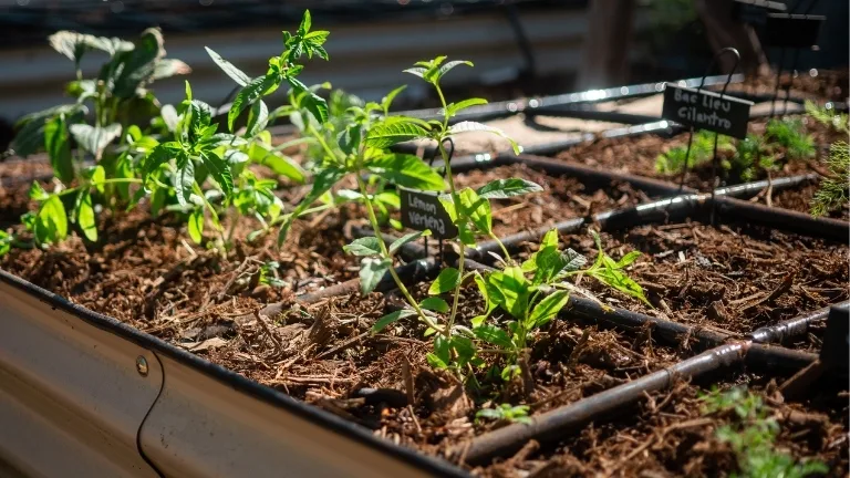 Garden Grids