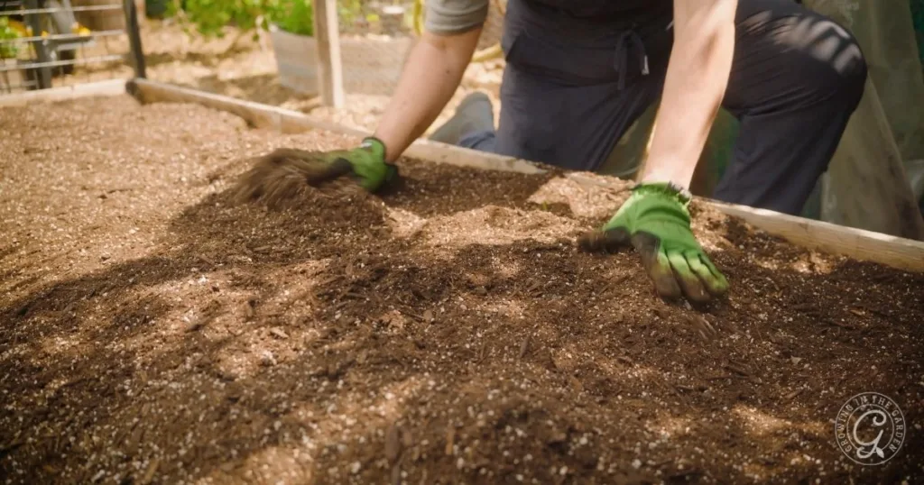 Person wearing green gloves spreading soil in a garden bed, demonstrating how to fill raised garden beds for healthy plant growth.