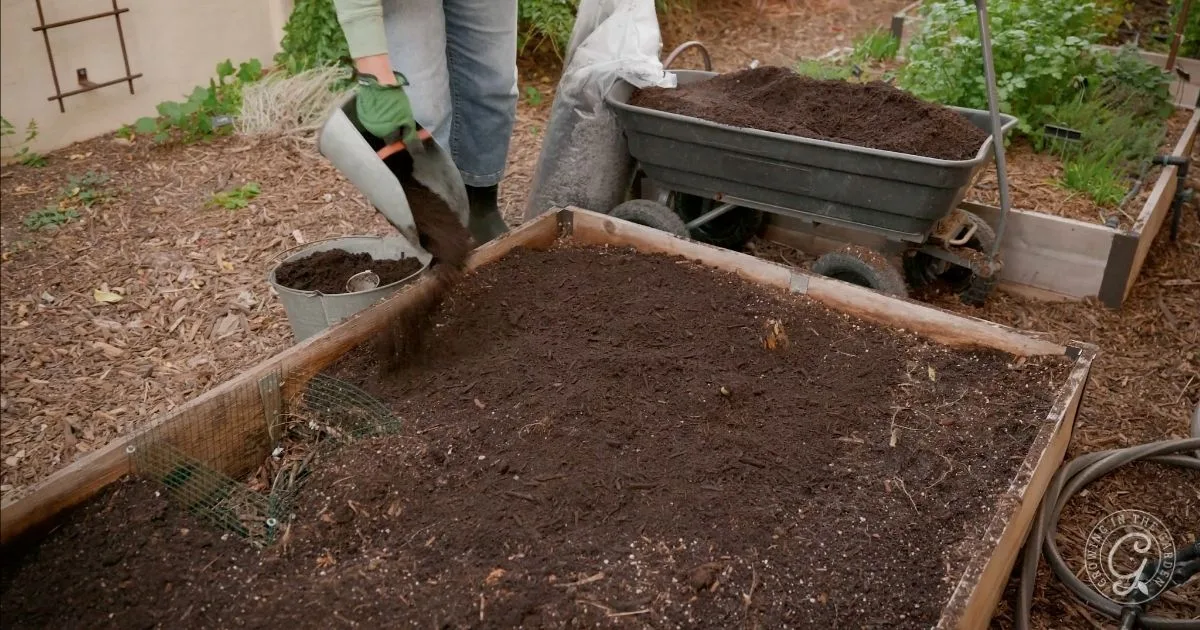 A person demonstrates how to fill raised garden beds by adding soil with a shovel, next to a wheelbarrow and a bucket.