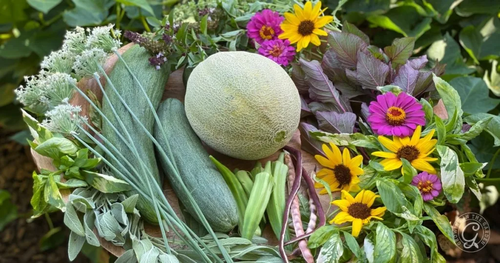 A basket of fresh vegetables, herbs, and colorful flowers—featuring melon, cucumbers, and sunflowers—celebrates the vibrant September harvest in Arizona.