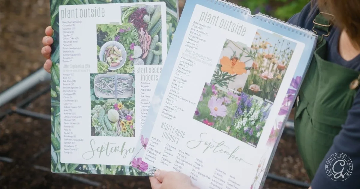 Two gardening calendars for September harvest in Arizona list which plants to seed indoors and outdoors, held by a person in a lush garden.