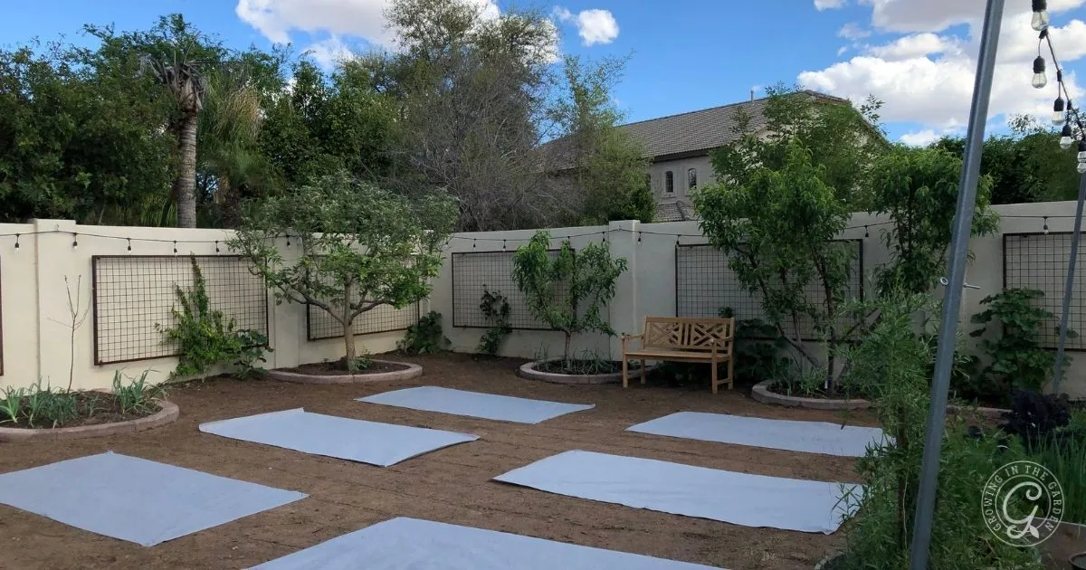 Outdoor garden with six white yoga mats on the ground, a bench against a wall, and lush greenery&mdash;an inviting space to unwind or choose raised bed location among the trees.