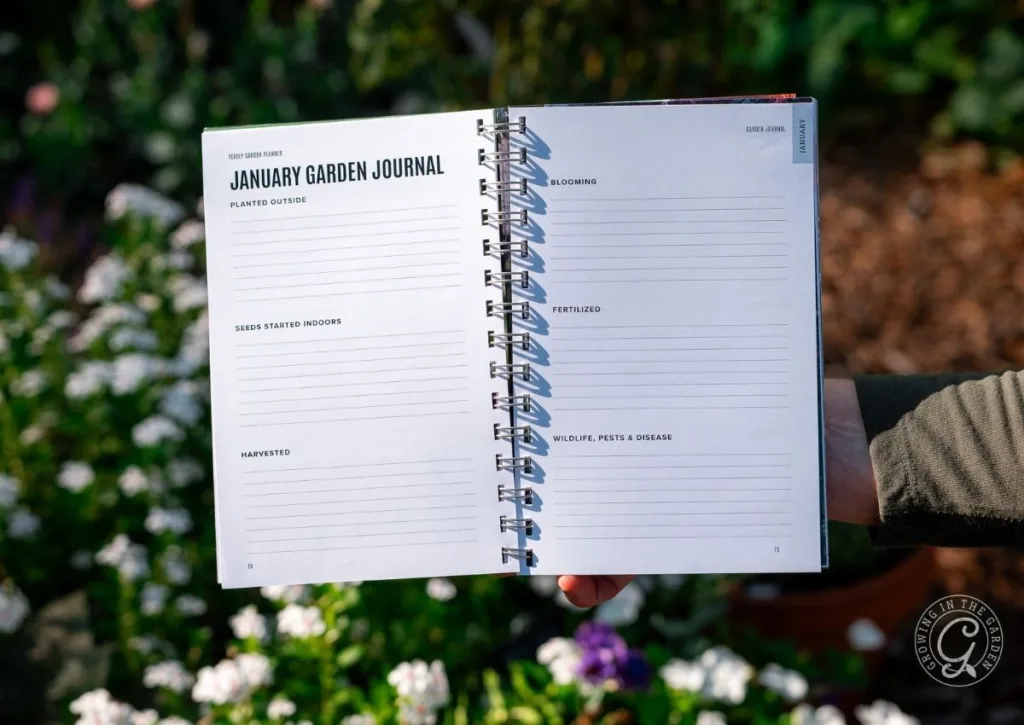 A hand holds open an Arizona Garden Planner journal outside in January, surrounded by green plants and colorful flowers.