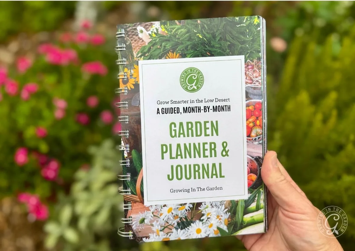Hand holding an Arizona Garden Planner & Journal book outdoors, with flowers and lush low desert greenery in the background.