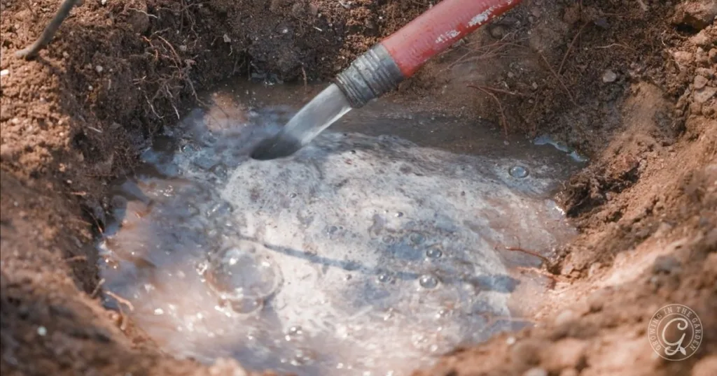 A red garden hose fills a muddy hole in the ground with water, creating bubbles on the surface—reminding you to carefully choose raised bed location to avoid soggy spots like this.