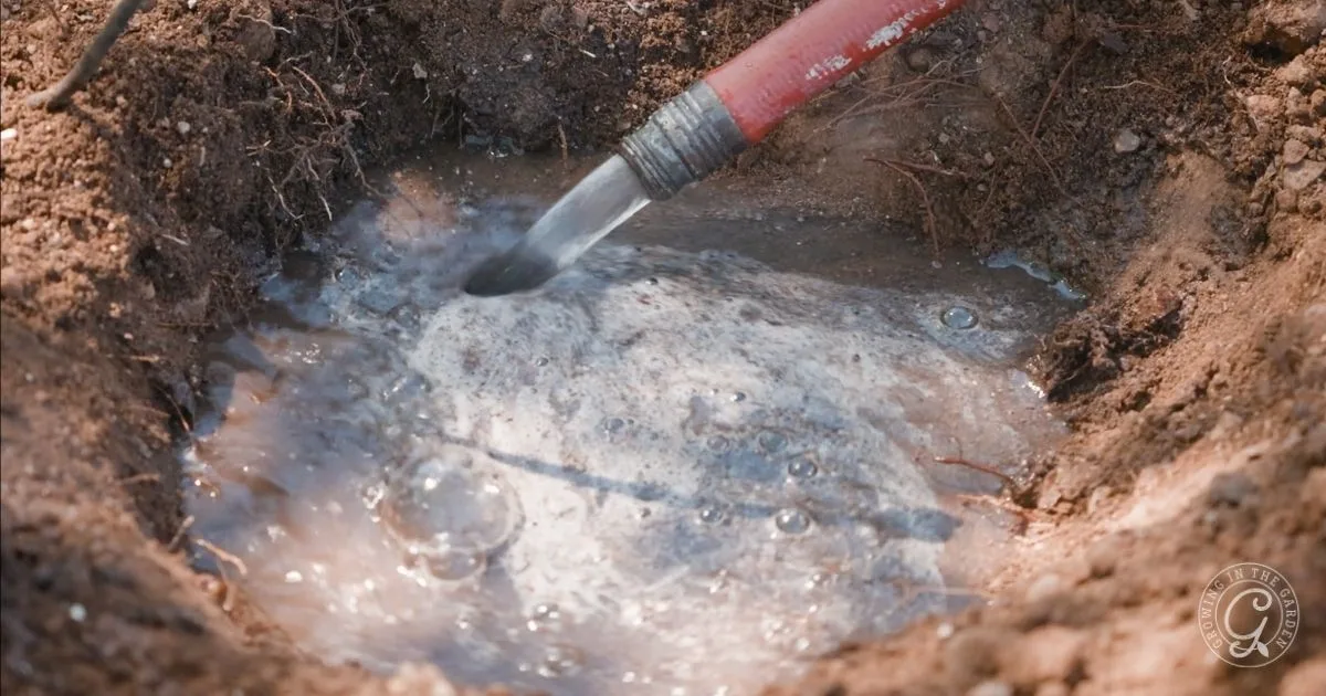 A red garden hose fills a muddy hole in the ground with water, creating bubbles on the surface&mdash;reminding you to carefully choose raised bed location to avoid soggy spots like this.
