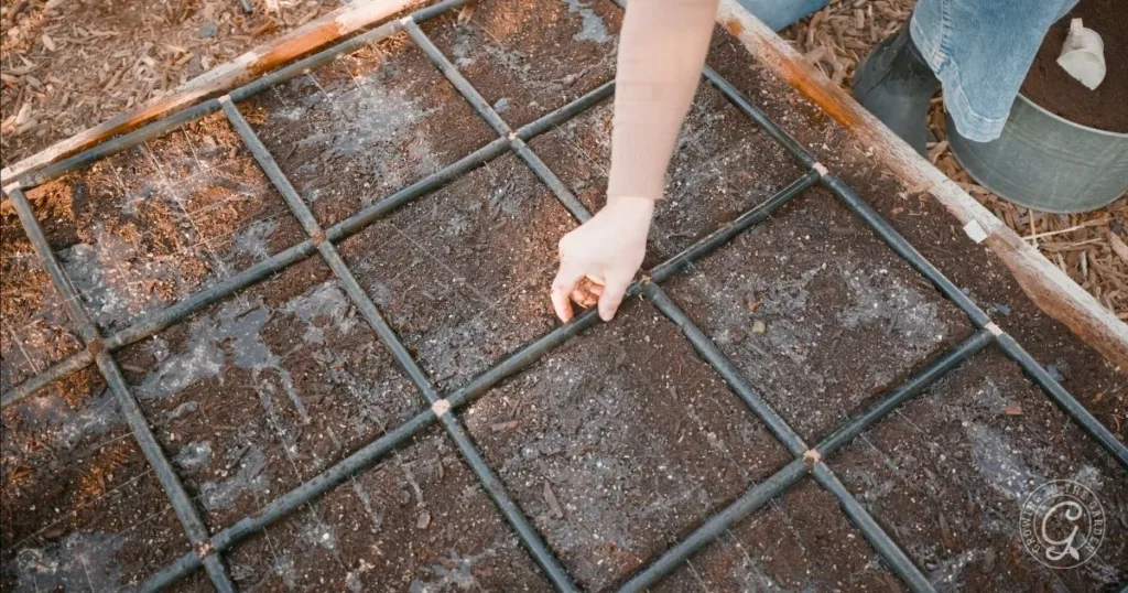 A person chooses a raised bed location and plants seeds in a grid-patterned garden bed filled with soil.