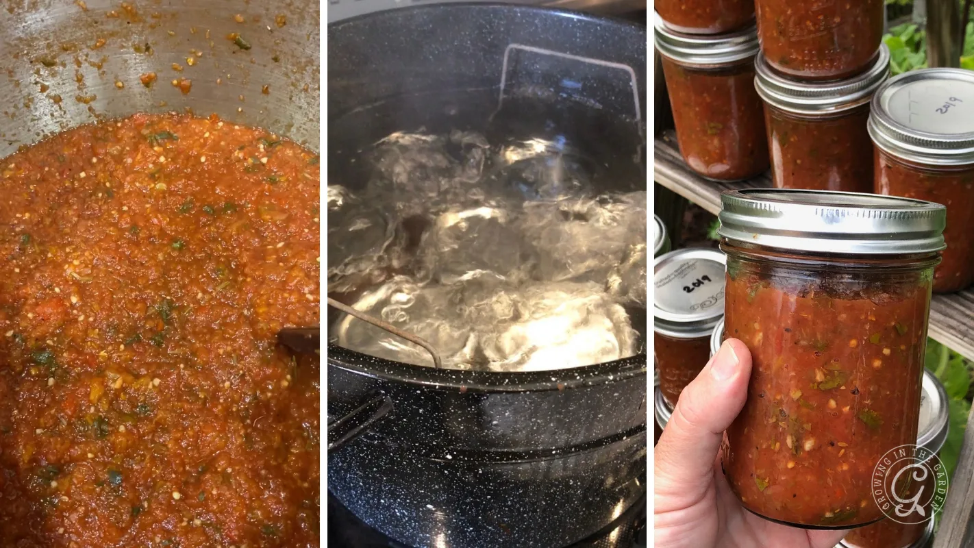 Tomato sauce cooking, a pot of boiling water, and jars of homemade sauce being held and stacked.