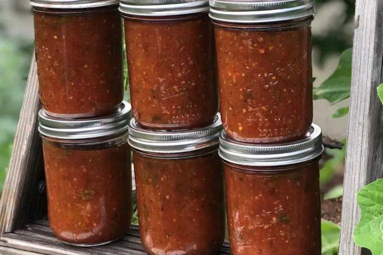 Homemade Garden Salsa Recipe (Perfect for Fresh Tomatoes) featured image