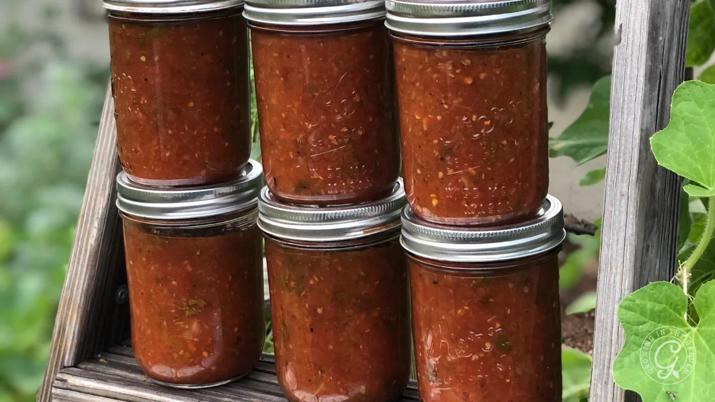 Seven glass jars filled with homemade salsa are stacked outdoors on a wooden surface, surrounded by greenery.