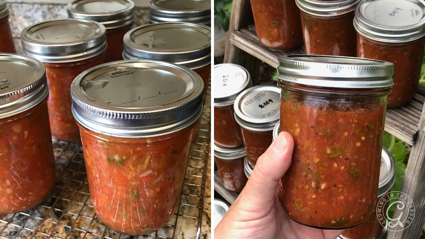 Jars filled with homemade salsa, some stacked on a shelf and one jar held up close by a hand.