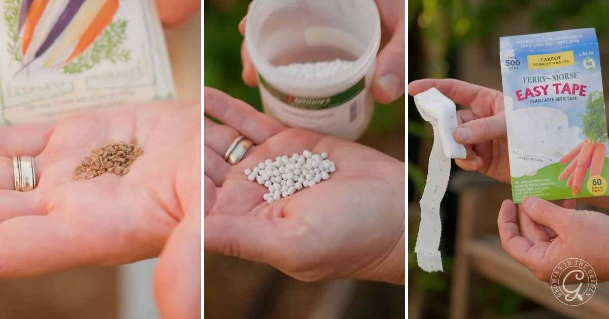 Three photos show hands holding carrot seeds, fertilizer pellets, and a packet of carrot seed tape&mdash;perfect for easy gardening and growing Fall vegetables, especially in areas with mild winters.