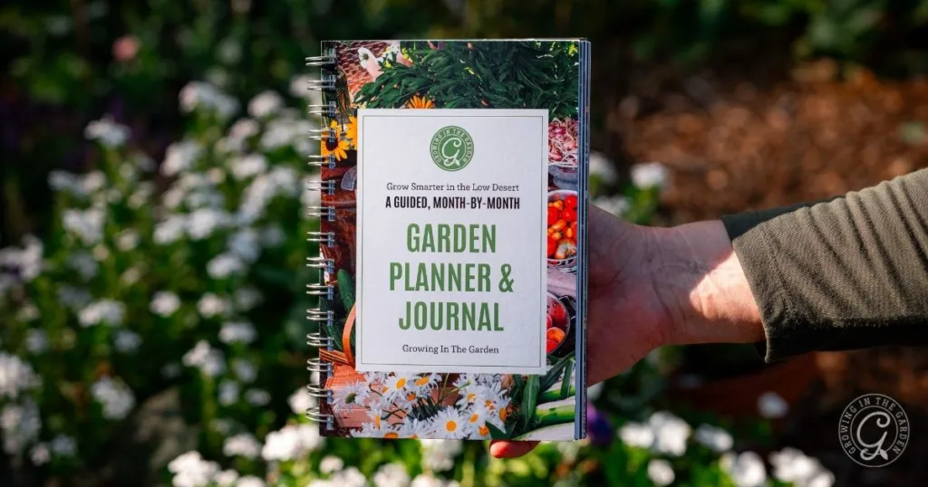 A hand holds a Garden Planner & Journal spiral notebook with a floral and vegetable cover design, perfect for tracking your summer to fall garden transition.