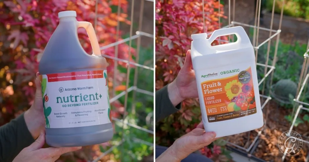 Two hands hold bottles of liquid fertilizers with colorful labels, ready to help transition the garden from summer to fall. Plants and garden wire appear in the background, emphasizing seasonal garden transition preparations.