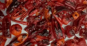 Charred roasted peppers and tomatoes scattered on a surface, likely grilled or fire-roasted.