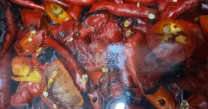 Close-up of dried red chili peppers and seeds, seen through a transparent plastic container with embossed text&mdash;some peppers have a rich, roasted appearance.