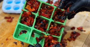 Gloved hands holding a green tray filled with flavorful, chopped roasted peppers.