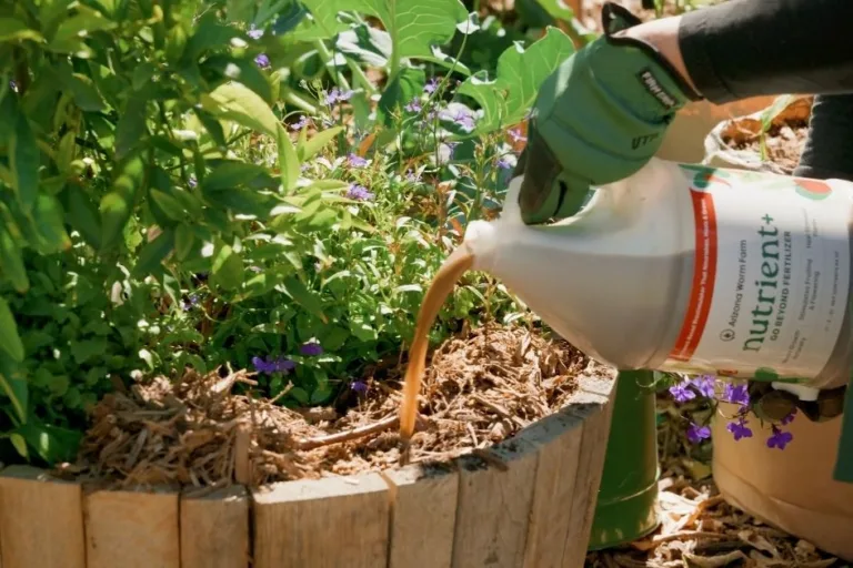 Nutrient+ Fertilizer for Transplants and Stressed Plants featured image