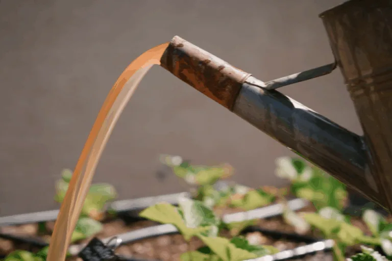 How and When to Use Liquid Organic Fertilizer featured image