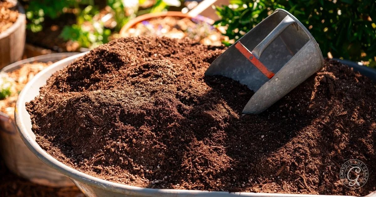 A metal scoop rests on a large pile of rich, dark hydrophobic soil in a garden setting.