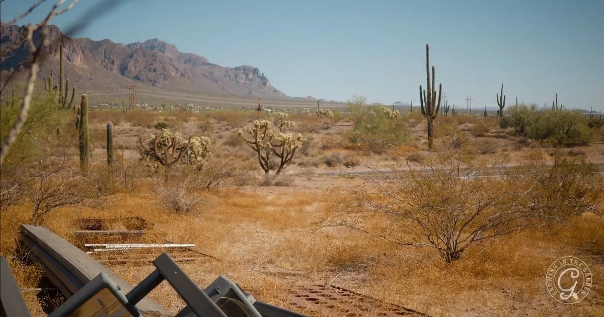 Desert landscape with cacti, dry bushes, hydrophobic soil, mountains in the distance, and metal debris in the foreground.