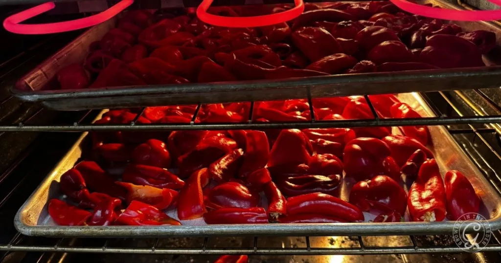 Roasted peppers on baking trays sizzle in the oven, their red skins blistering under glowing heating elements.