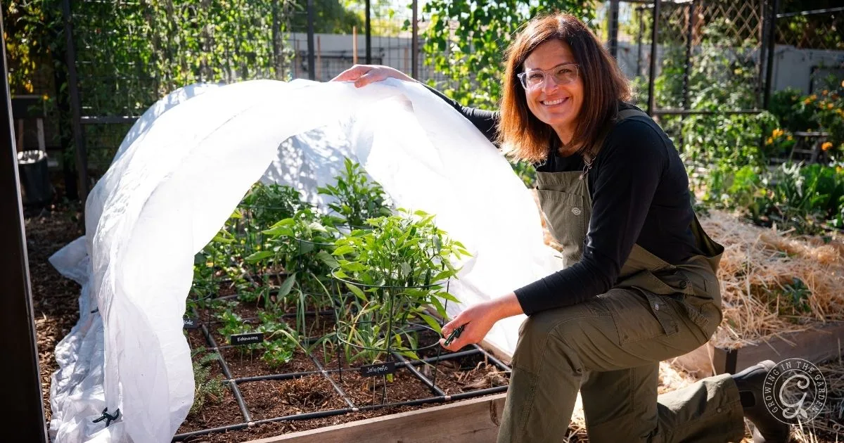 Woman smiling and tending to a raised garden bed covered with a white protective cloth outdoors, considering what to plant in December for a thriving winter harvest.