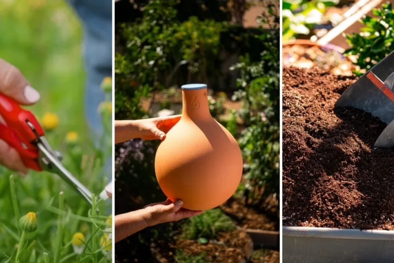 Gardener’s Gift Guide: Garden Favorites featured image