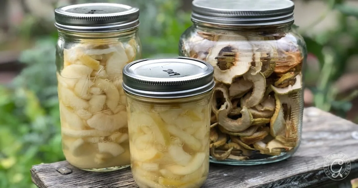 Three jars on a wooden surface, filled with preserved and dried apple slices&mdash;perfect for those learning how to grow apples in Arizona&mdash;set outdoors with greenery in the background.