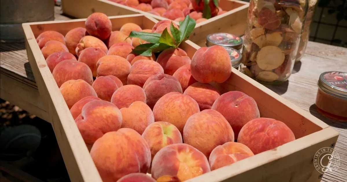 Wooden crates filled with ripe peaches, from the best fruit trees for hot climates, with jars of dried fruit and jam in the background on a wooden table.