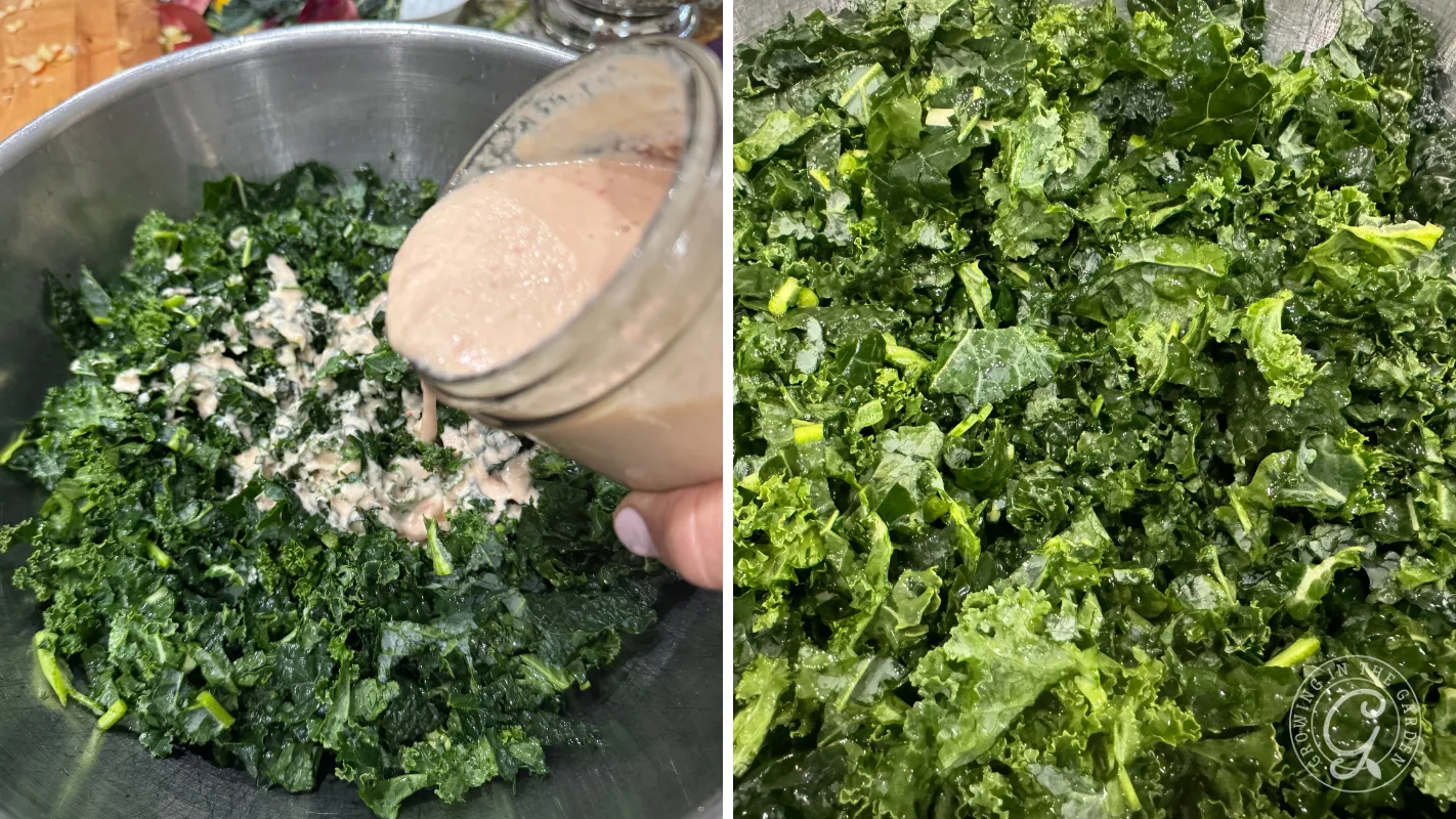 Left: Dressing poured on chopped kale; right: kale tossed with dressing in a large metal bowl.