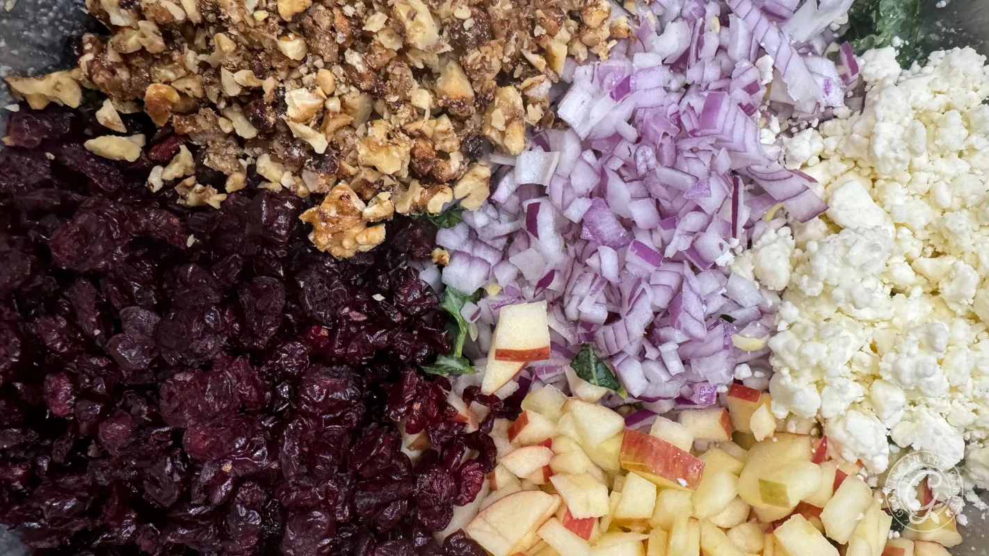 Chopped walnuts, red onion, feta cheese, dried cranberries, and diced apples arranged in sections.