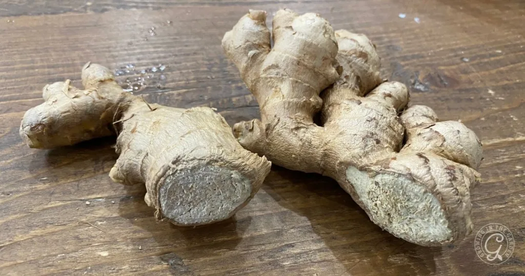 Two pieces of fresh ginger root with cut ends, placed on a wooden surface&mdash;perfect for learning how to grow ginger at home.
