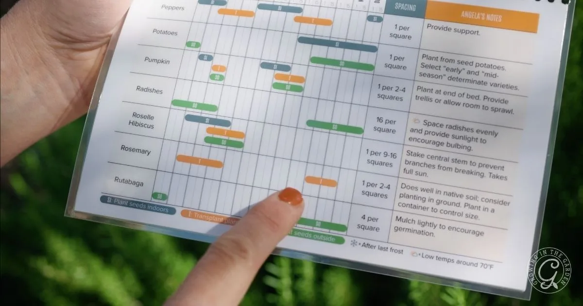 A hand points to a gardening chart outdoors, showing planting details for various vegetables and herbs, along with Rutabaga Growing Tips perfect for hot climate gardening.