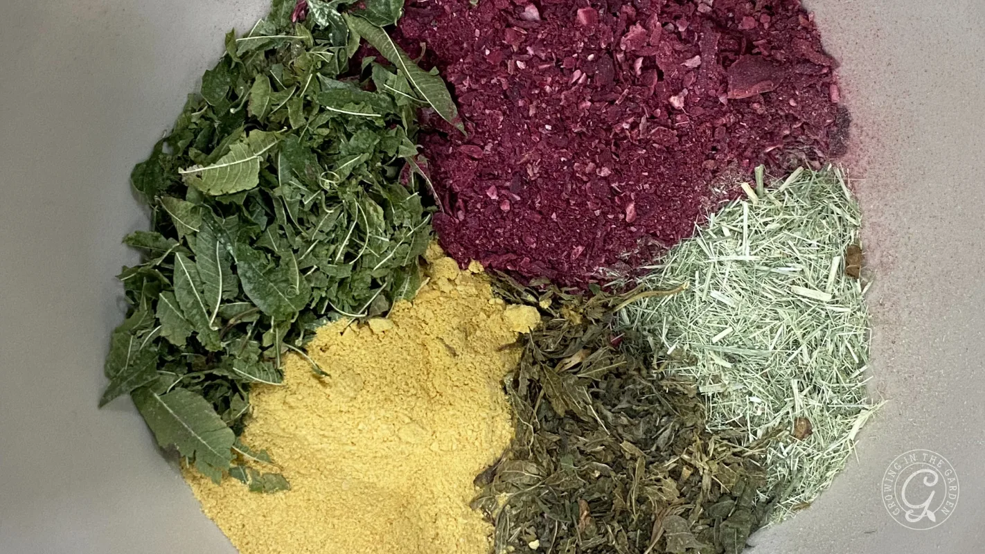 Four piles of colorful powdered and leafy dried herbs arranged in a circle inside a bowl.