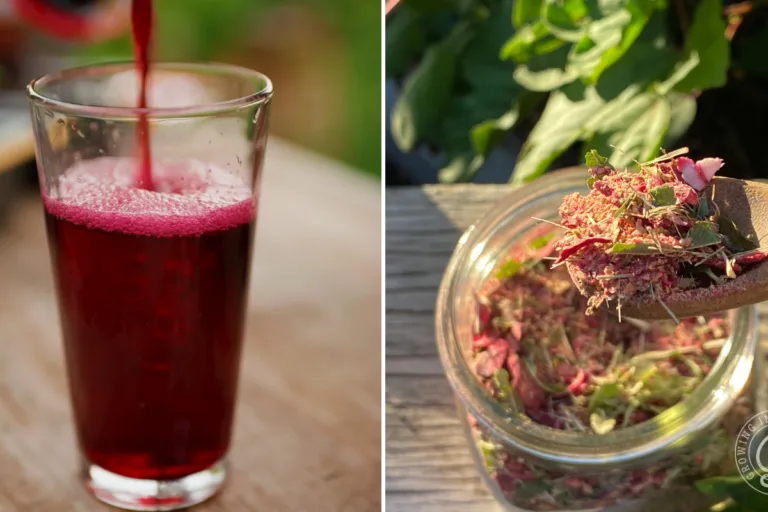 How to Make Roselle Tea (Plus My Citrus Blend) featured image