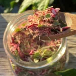 A wooden spoon holds dried herbs above a glass jar filled with a colorful herb mixture.