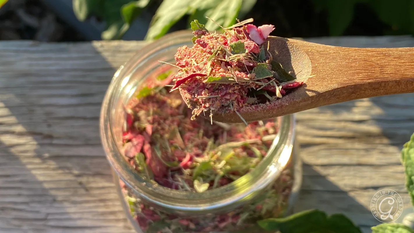 A wooden spoon holds dried herbs above a glass jar filled with a colorful herb mixture.