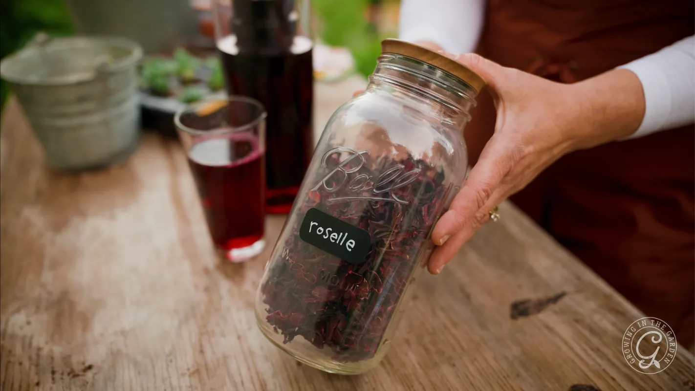 A person holds a jar labeled roselle with dried petals, next to a glass of red liquid on a wooden table.