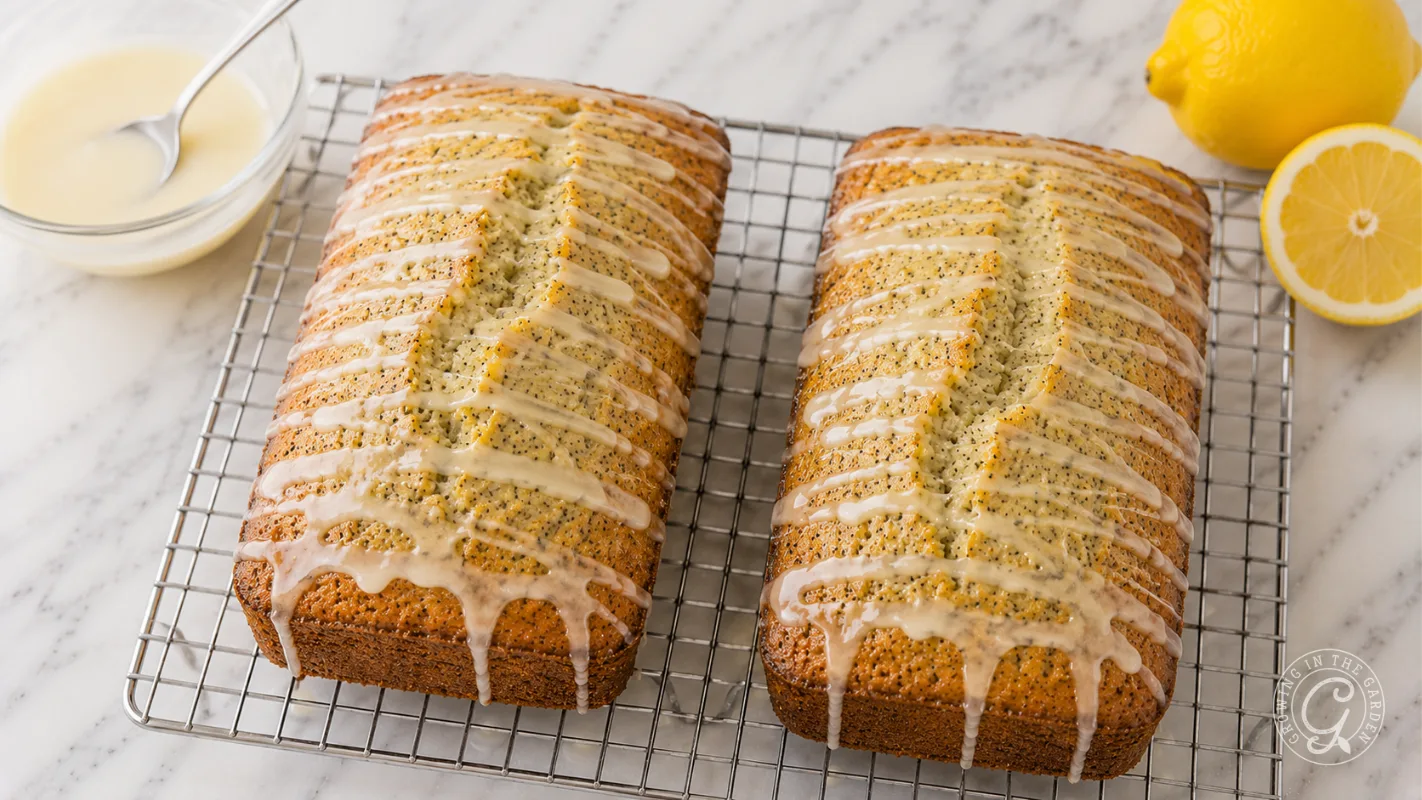 Two lemon poppy seed loaves with icing drizzle on a cooling rack, next to lemons and a bowl of glaze.