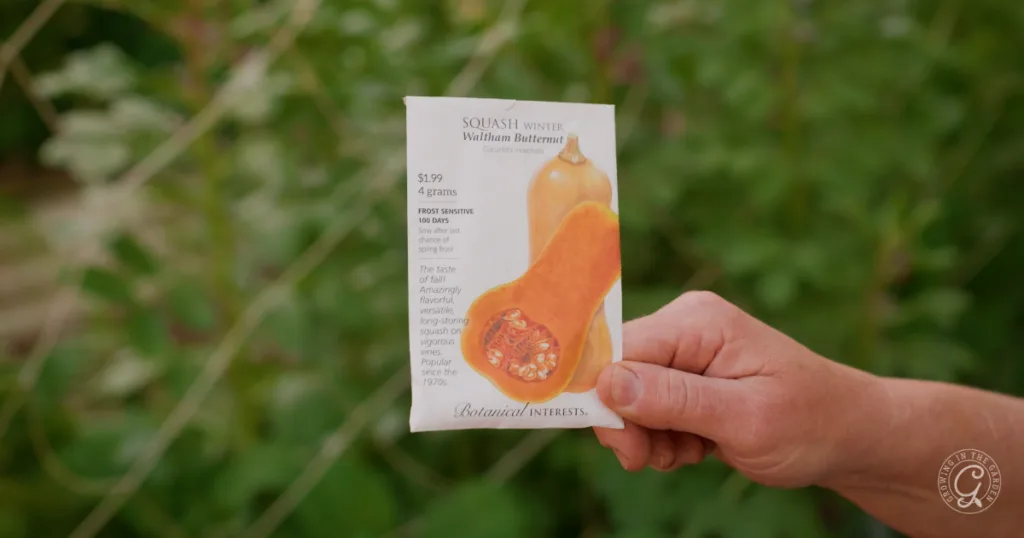 A hand holds a butternut squash seed packet in front of green foliage, ready to plant from seed and skip the transplants.