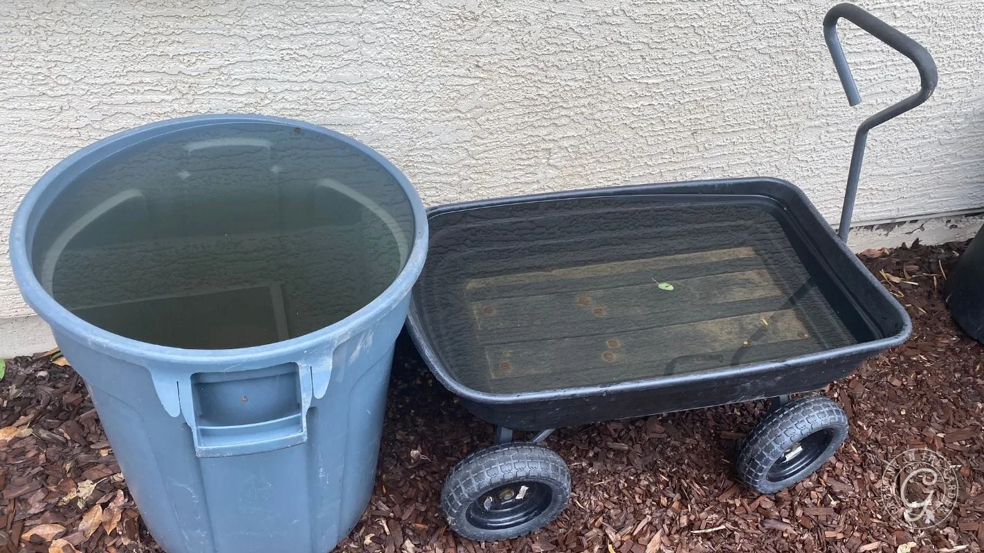 A trash can and a garden cart filled with rainwater sit on mulch beside a stucco wall.