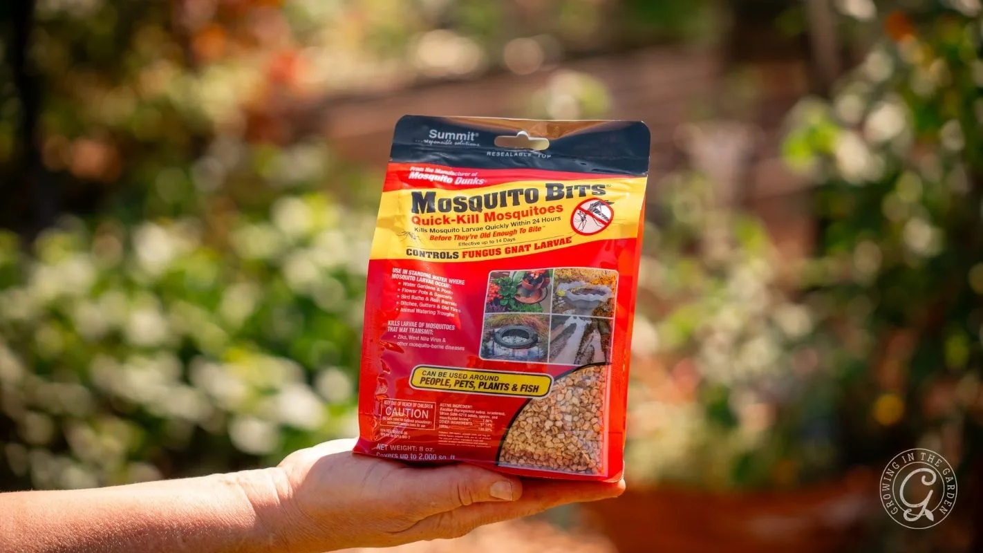 A hand holds a bag of Mosquito Bits insecticide in an outdoor garden setting.